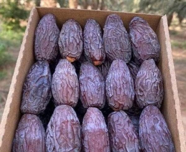 تصویر 3 از خرما پیارم باسکول درجه یک محصول باغات جنوب کشور